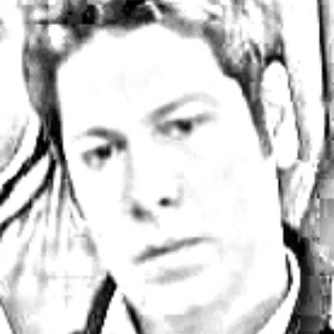 Newl92.jpg