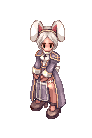 charsim3.png