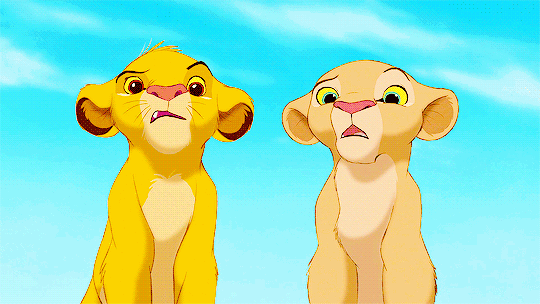 gif of simba and nala looking at each other skeptically