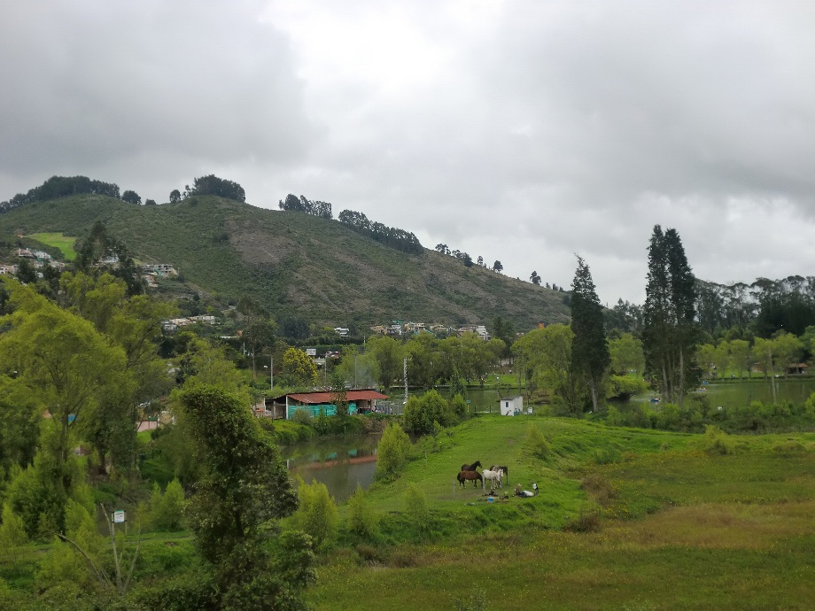 visitaparquesopo.jpg