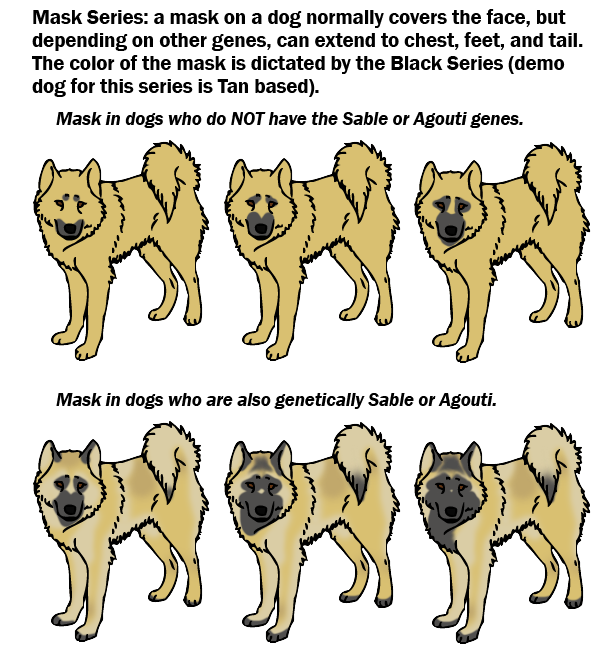 Dog Color Breeding Chart