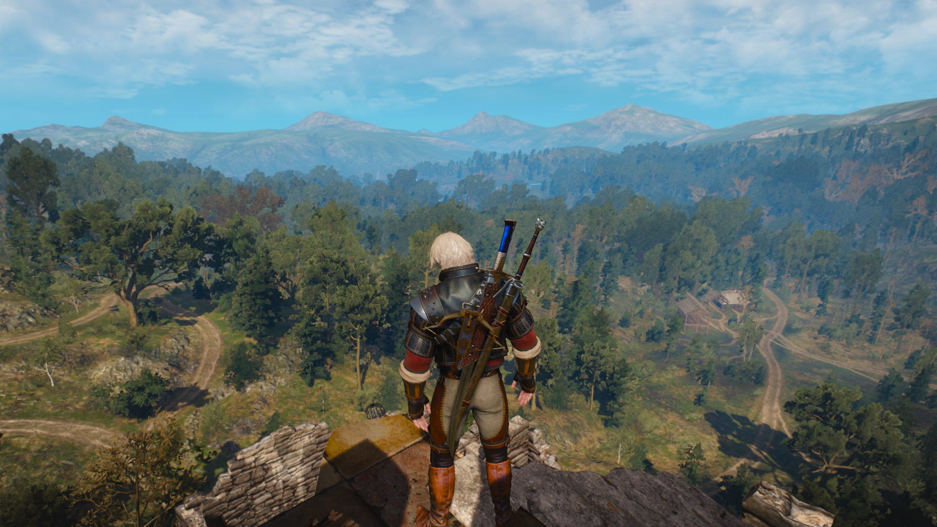 Witcher316.png