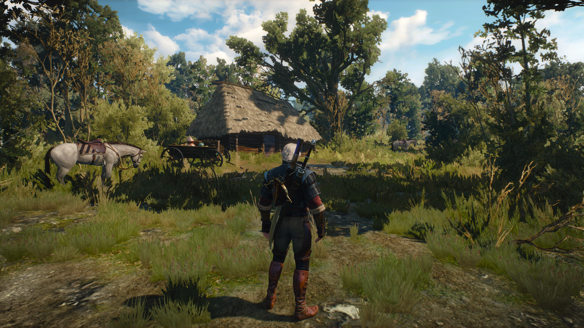Witcher317.png