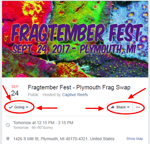 zzzzzzzzzzzzzzzzzzzz - Fragtember Fest - Plymouth, MI  - Sept 24, 2017