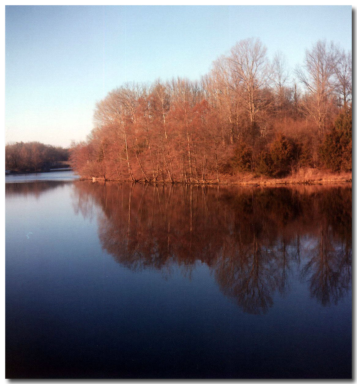 Scan34.jpg