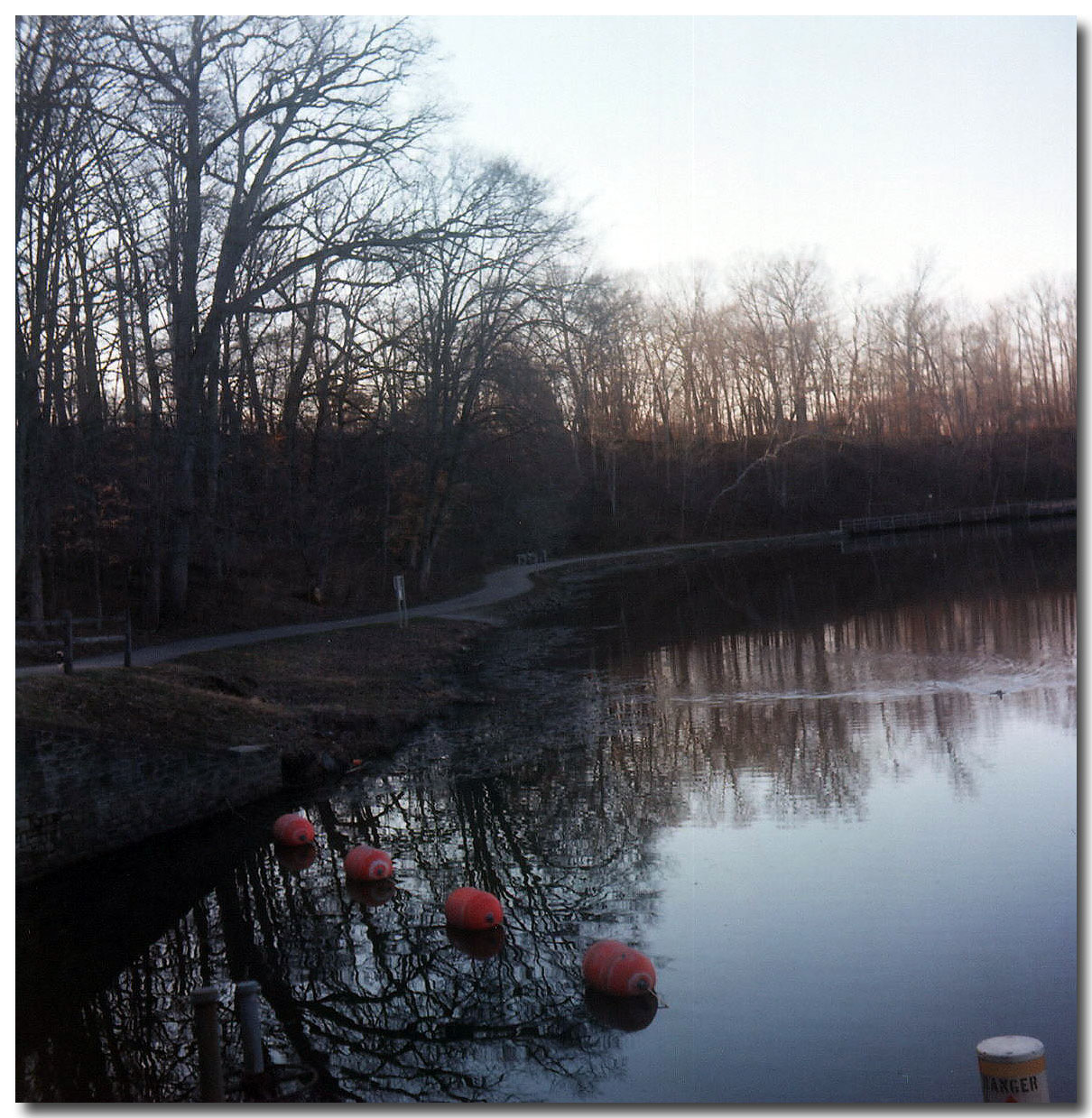 Scan35.jpg
