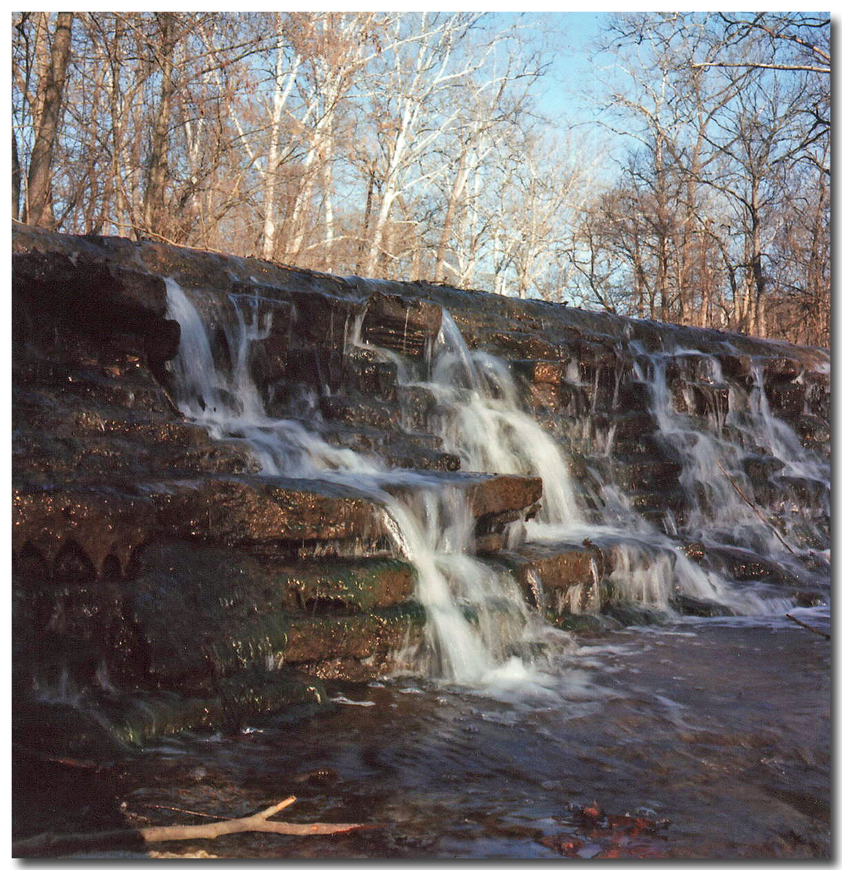 Scan37.jpg