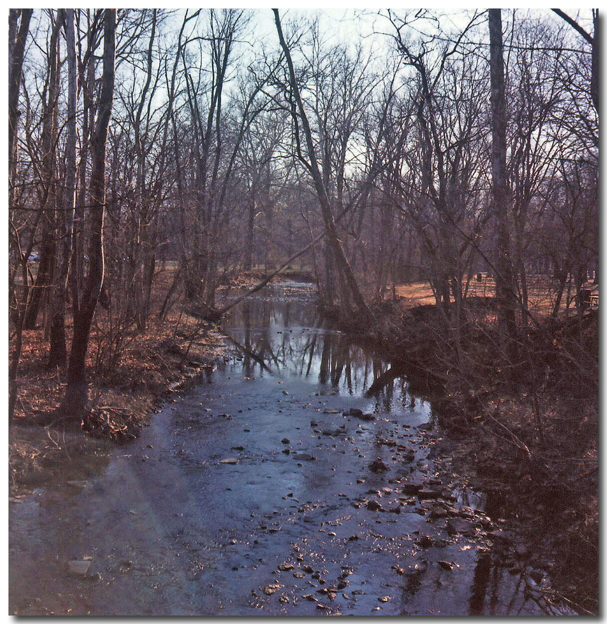 Scan42.jpg