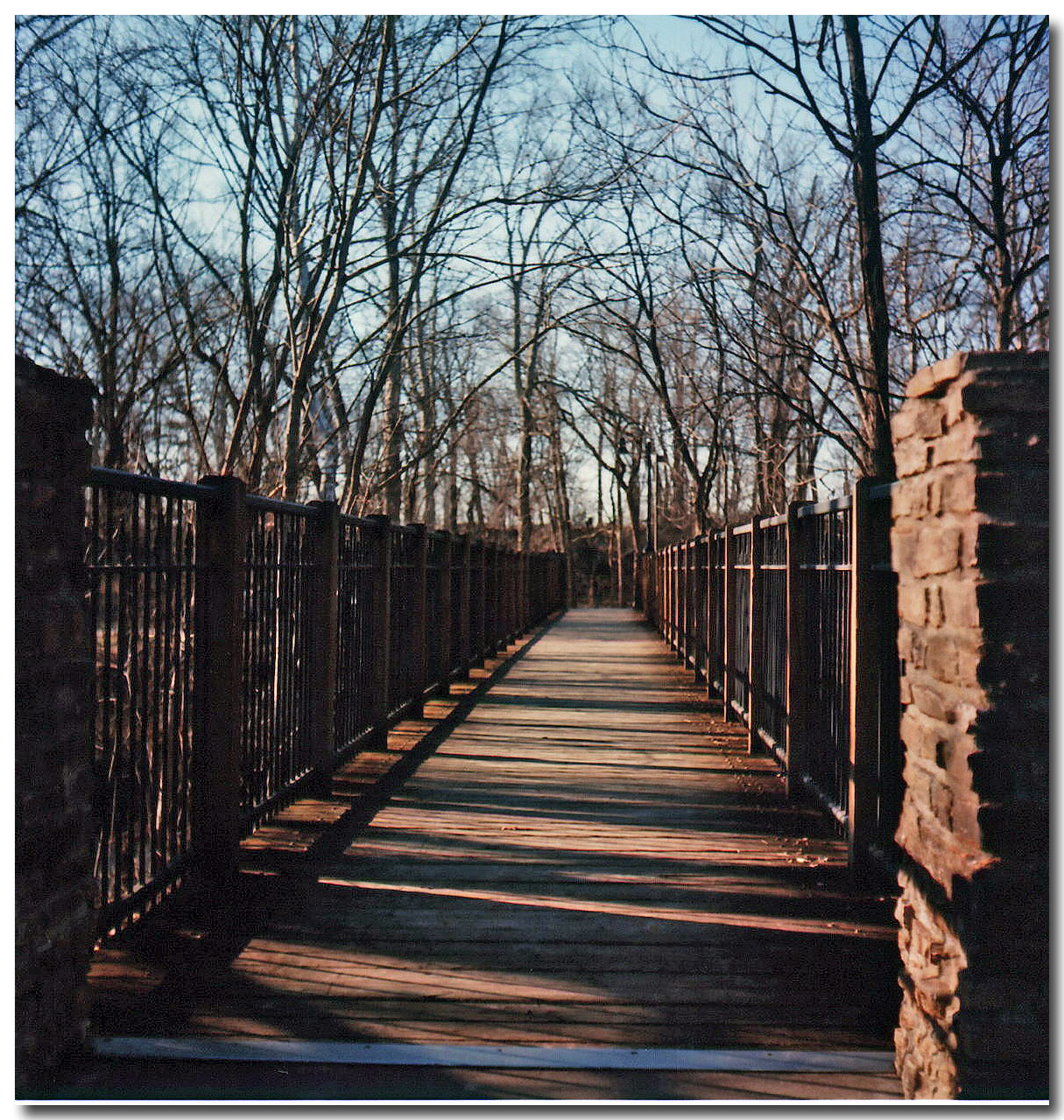 Scan43.jpg