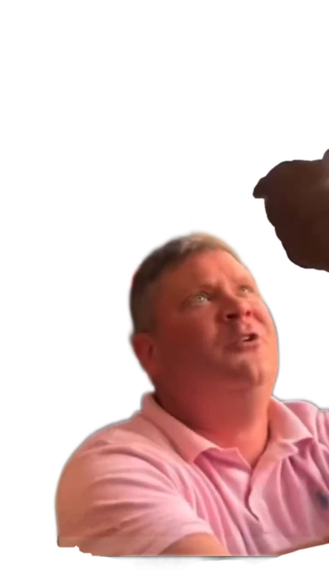 1749419132913.png