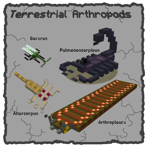 Terrestrial Arthropods