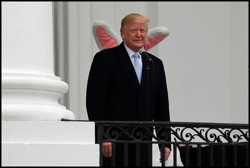 Bunny.jpg