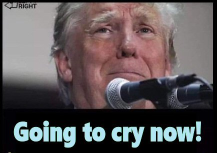 Cry1.jpg