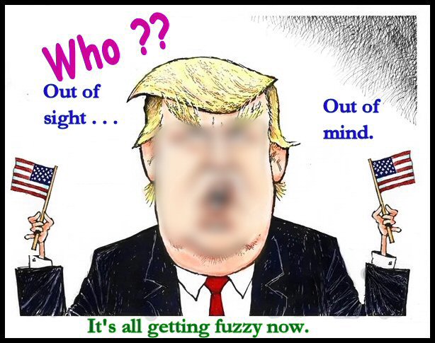 Fuzzy.jpg