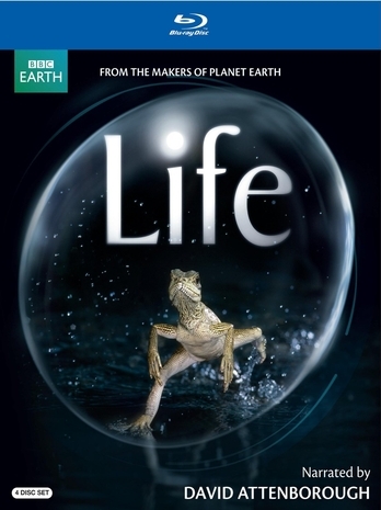 BBC Życie / Life (2010) 1080i Lektor / Napisy PL BBC Życie / Life (2010) 1080i Lektor / Napisy PL