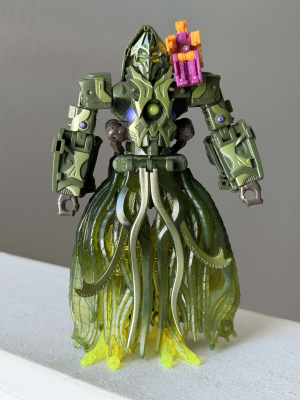 IMG1581.png
