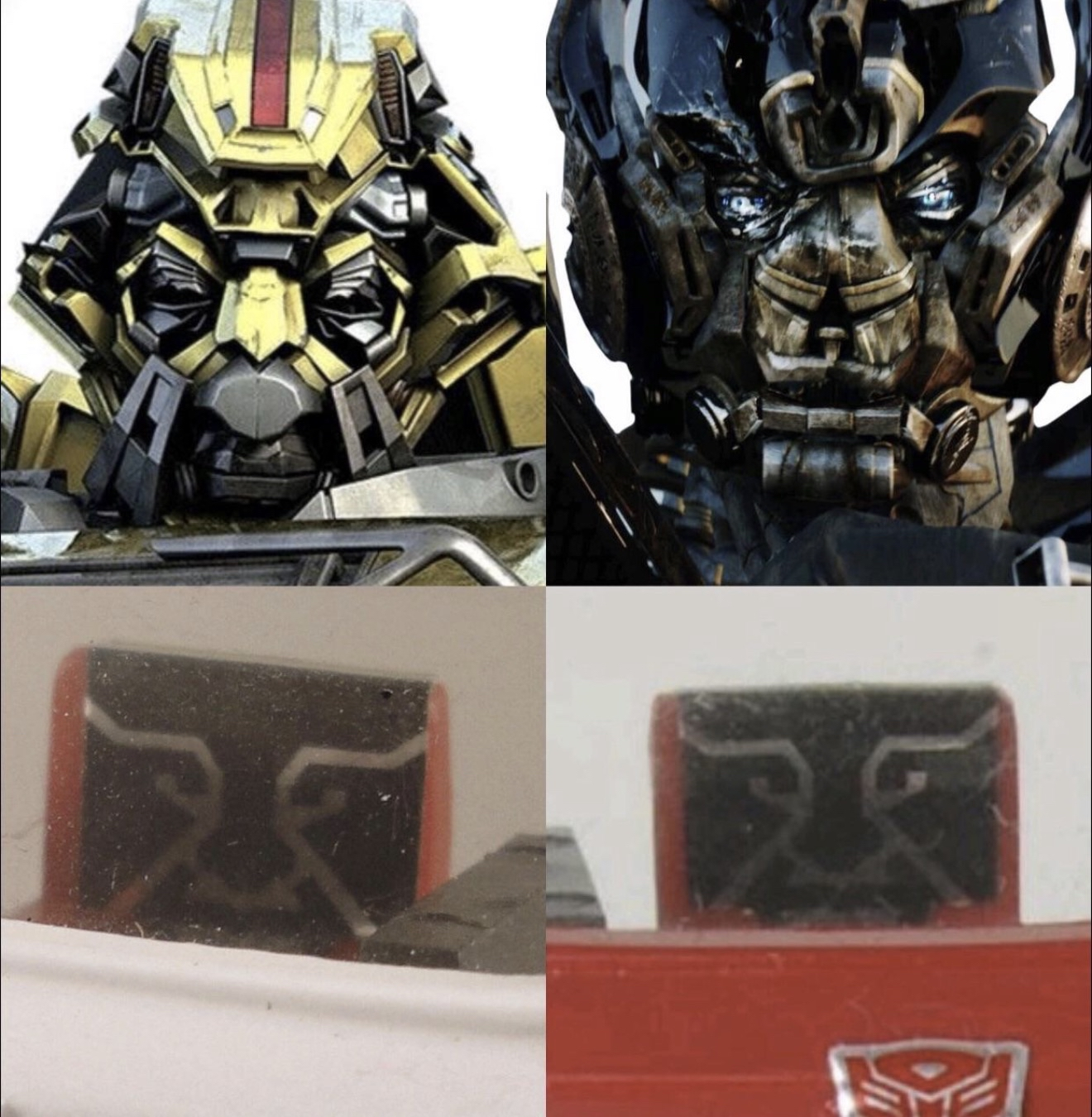 IMG2355.png