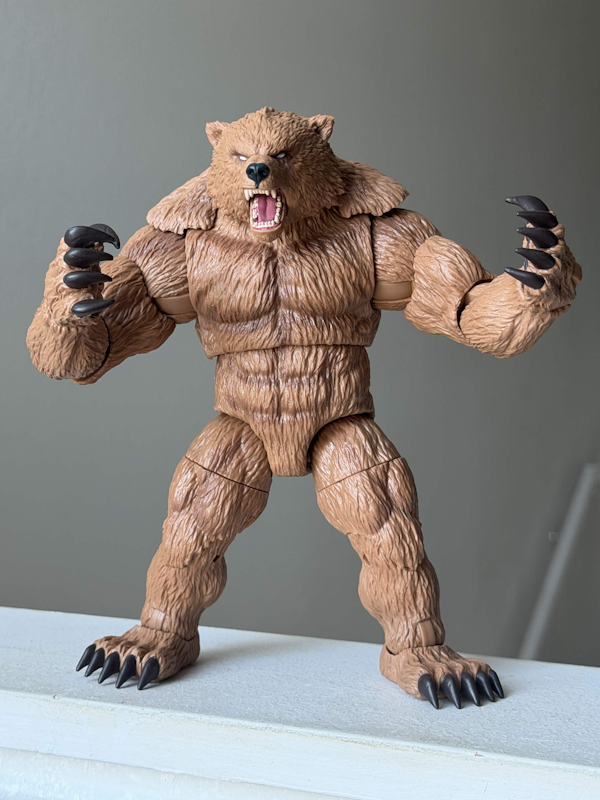 IMG4845.png