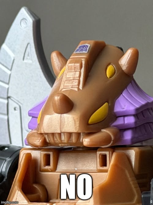 IMG5376.png