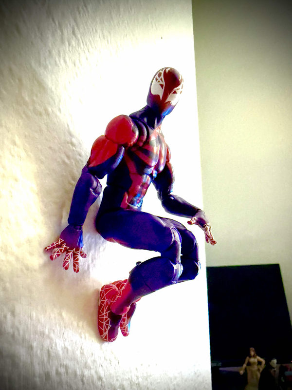 IMG5408.png