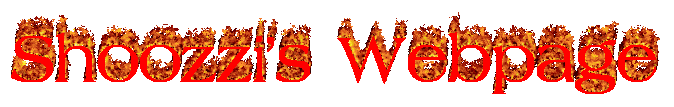 Shoozzi's Webpage (cooler text)