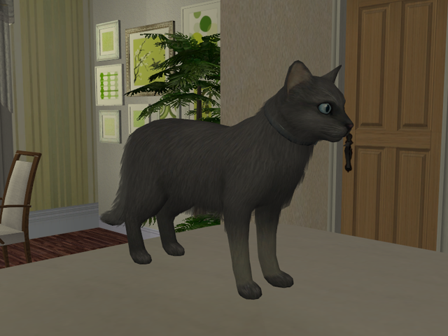 Sims2EP8201603262212.png