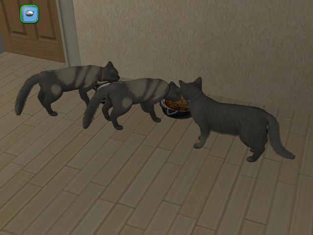 Sims2EP8201603262213.png