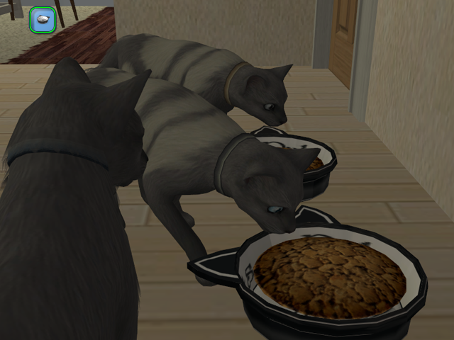Sims2EP8201603262214.png