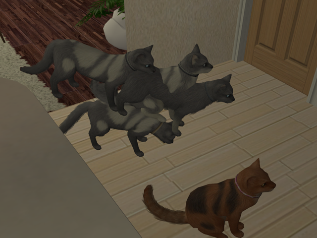 Sims2EP8201603262215.png