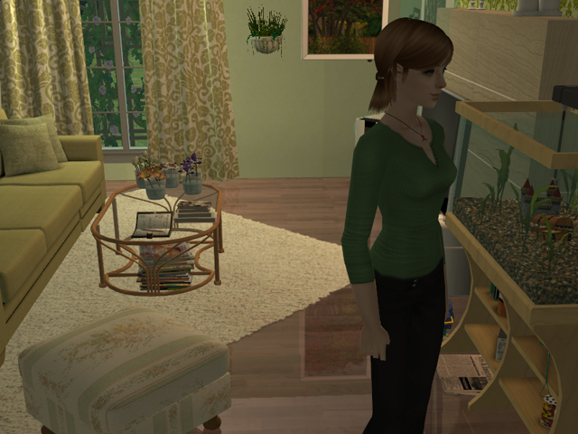 Sims2EP8201603271629.png