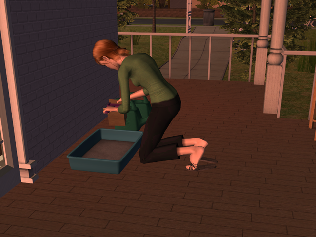 Sims2EP8201605152058.png