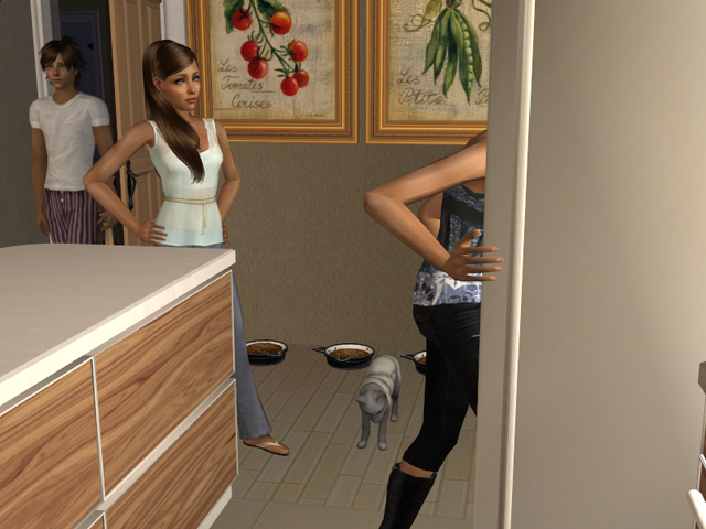 Sims2EP8201605161916.png