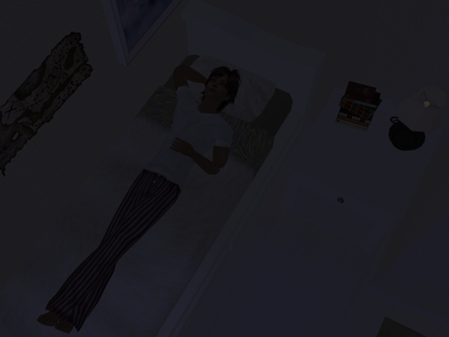 Sims2EP8201605161925.png
