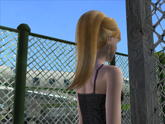 Sims2EP8201608052334.png