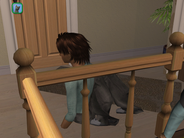 b9Sims2EP8201603271352.png