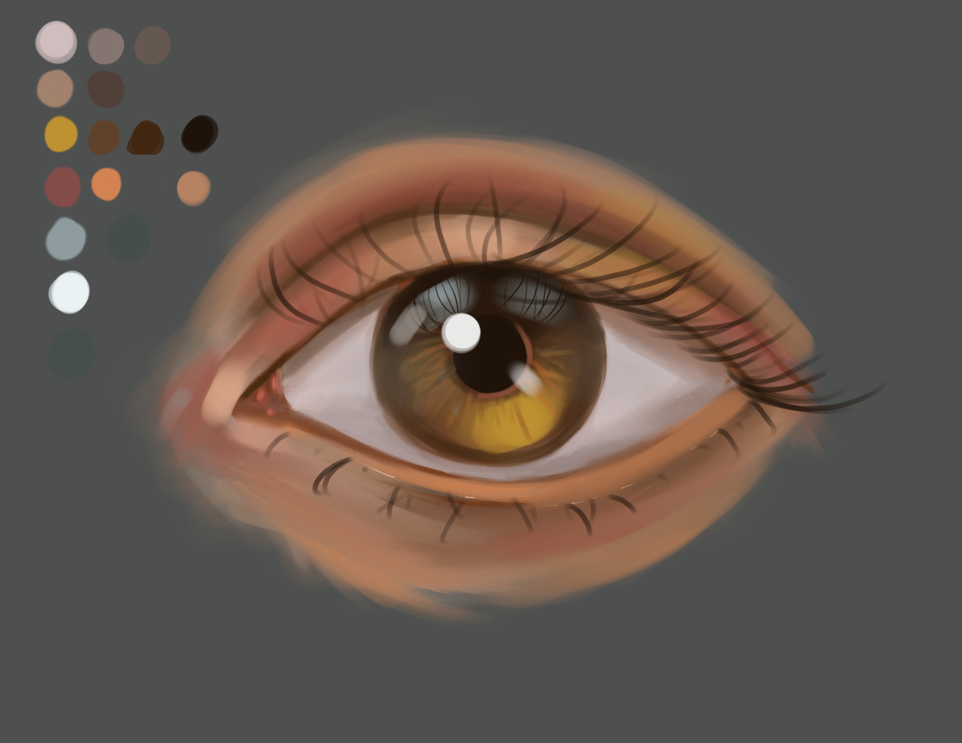 Eye
