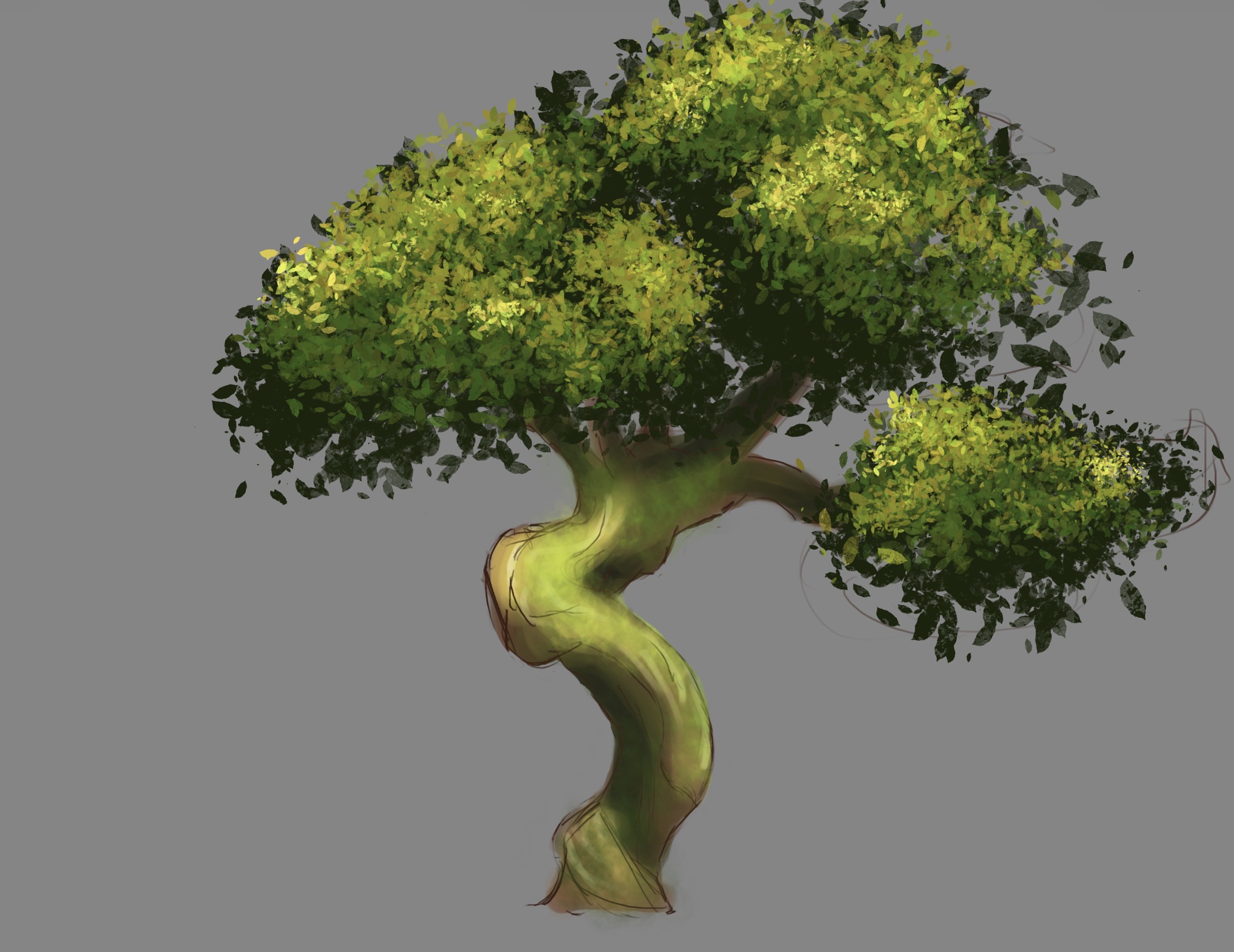 tree