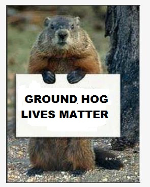 groundhogs1.jpg