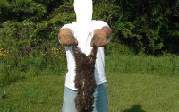 Groundhog1.jpg