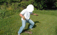 Groundhog2.jpg