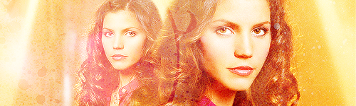 7a8Cordy3.png