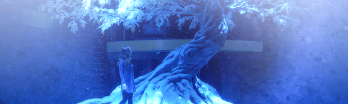 DollhouseBanner3.gif