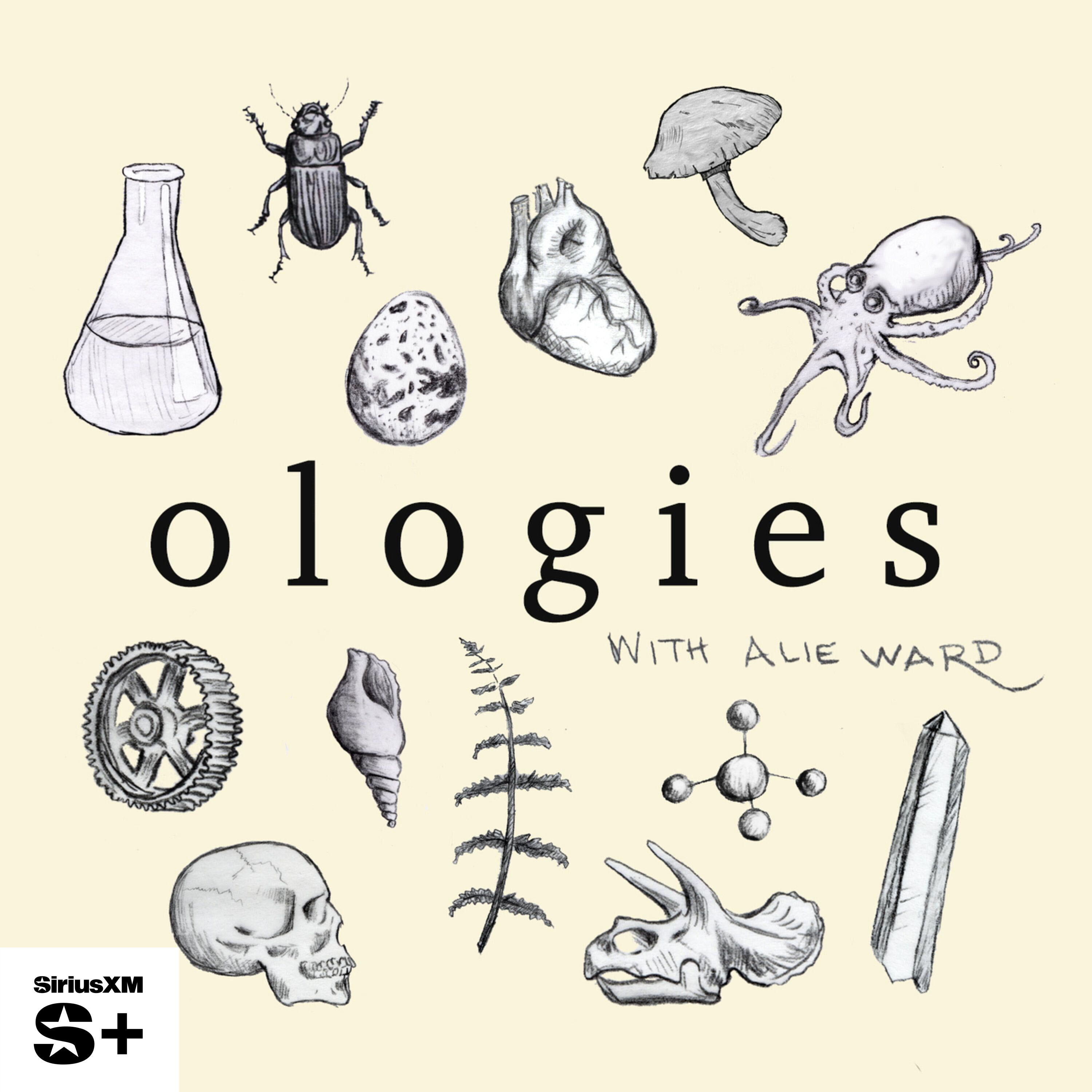 Ologies with Alie Ward | SiriusXM Podcasts+ podcast tile