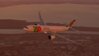 A330