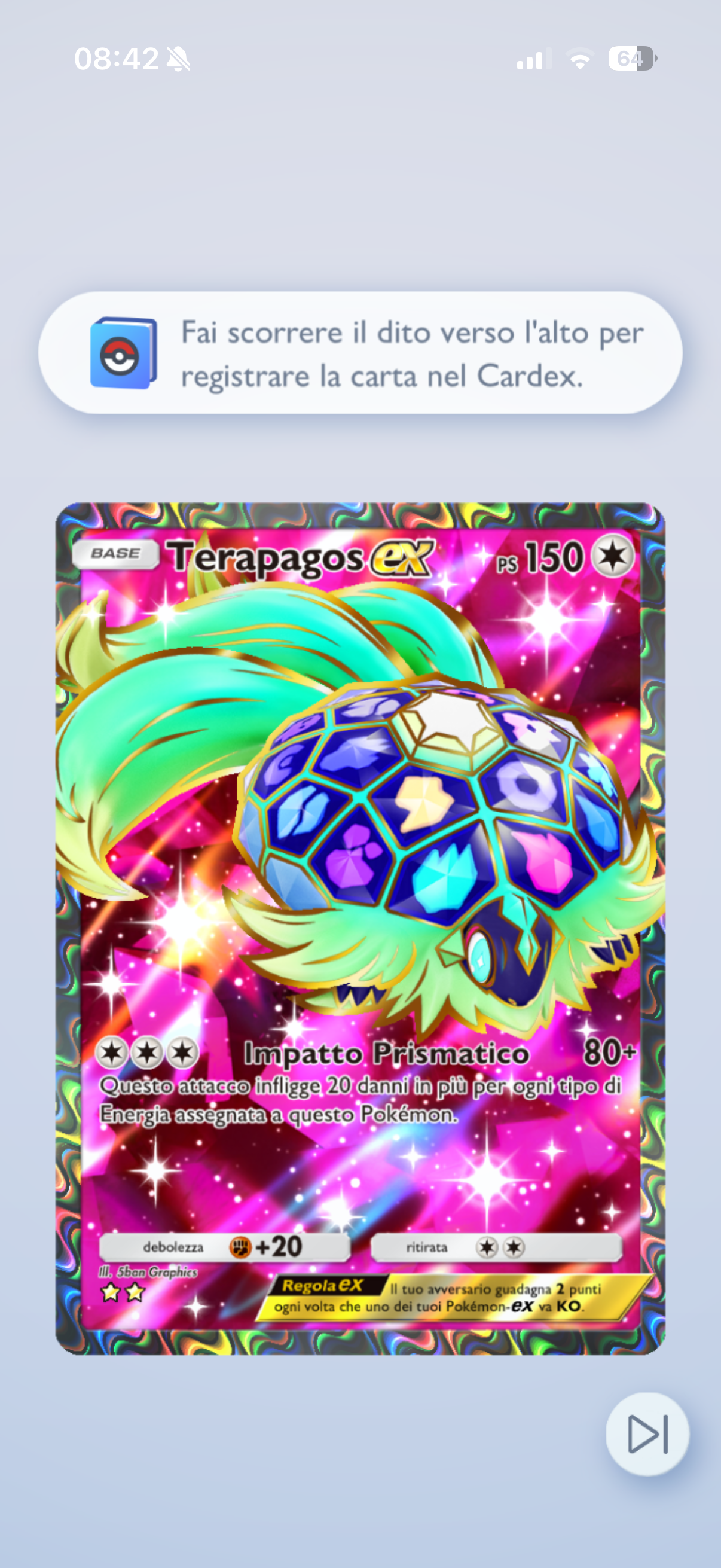 IMG3338.png
