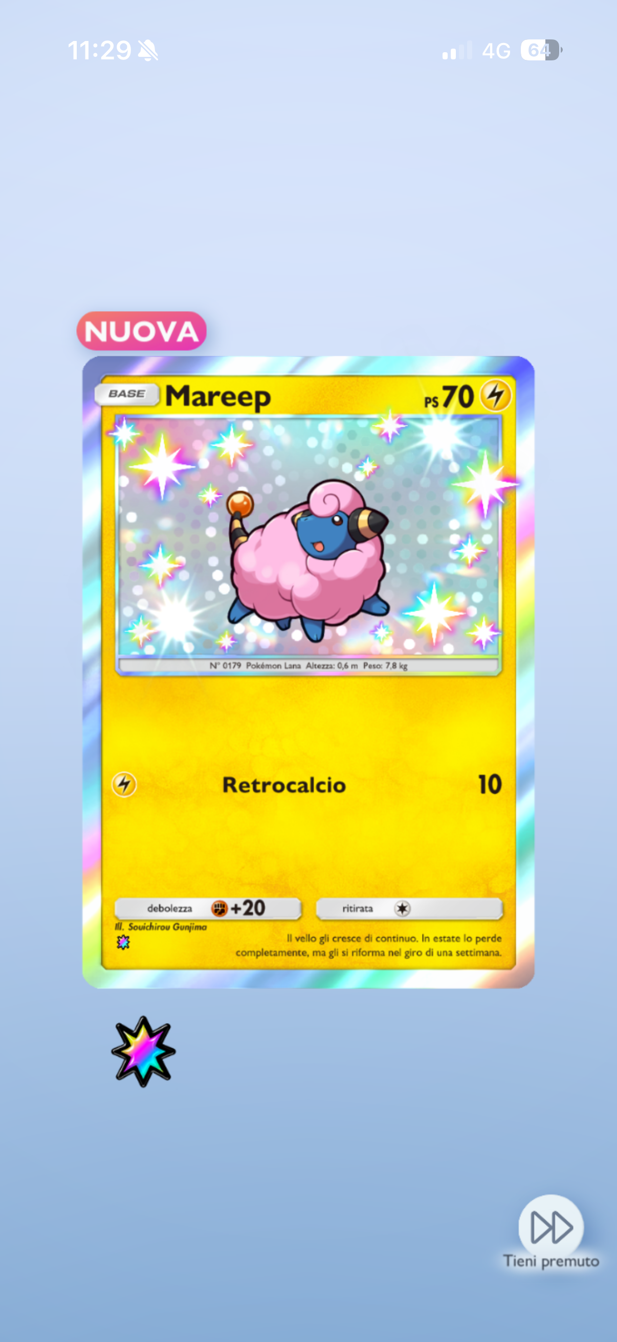 IMG3486.png