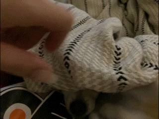 3A16C655436446399256.gif