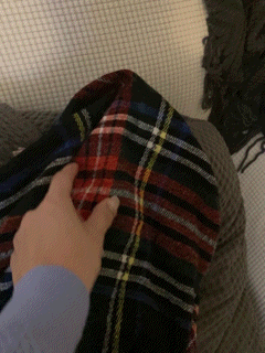 593266E88CCB49F1BD2E.gif