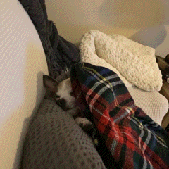 9488DB9733E743168414.gif