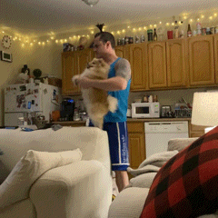 AA6E8D02EBEC4B6482AE.gif